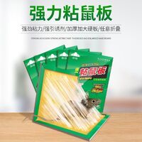 粘鼠板選購全攻略 從排行榜、價格到使用技巧，一篇搞定